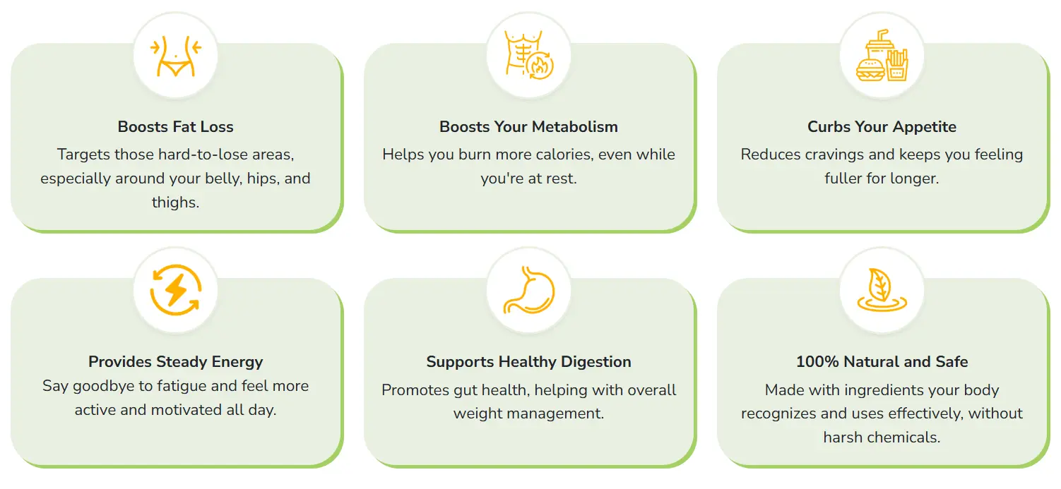 Lipozem Ingredients